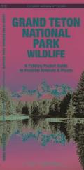 Grand Teton National Park Wildlife: A Folding Pocket Guide to Familiar Animals & Plants