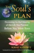 Your Souls Plan Discovering the Real Meaning of the Life You Planned Before You Were Born