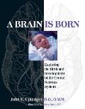 A Brain Is Born: Exploring the Birth and Development of the Central Nervous System