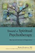 Toward a Spiritual Psychotherapy: Soul as a Dimension of Experience