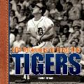 101 Reasons to Love the Tigers