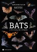 Bats An Illustrated Guide to All Species