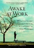 Awake at Work 35 Practical Buddhist Principles for Discovering Clarity & Balance in the Midst of Works Chaos