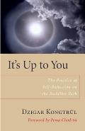 Its Up to You The Practice of Self Reflection on the Buddhist Path