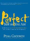 Perfect Just as You Are: Buddhist Practices on the Four Limitless Ones: Loving-Kindness, Compassion, Joy, and Equanimity