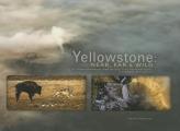 Yellowstone: Near, Far, and Wild: A Comprehensive Look at Our First National Park, Including the Tetons