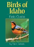 Birds Of Idaho Field Guide