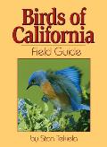Birds Of California