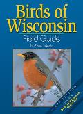 Birds Of Wisconsin Field Guide