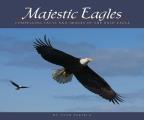 Majestic Eagles Compelling Facts & Images of the Bald Eagle