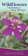 Wildflowers of Arizona & New Mexico Your Way to Easily Identify Wildflowers