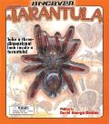 Uncover a Tarantula Take a Three Dimensional Look Inside a Tarantula