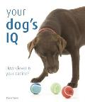 Your Dogs IQ