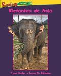 Elefantes de Asia Asian Elephants