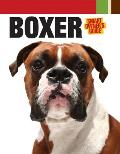 Boxer