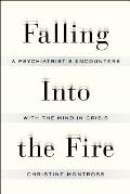 Falling Into the Fire A Psychiatrists Encounters with the Mind in Crisis