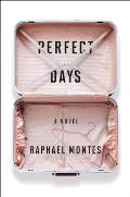 Perfect Days A Novel