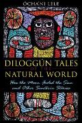 Diloggun Tales of the Natural World How the Moon Fooled the Sun & Other Santeria Stories