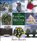 Garden in Winter Plant for Beauty & Interest in the Quiet Season