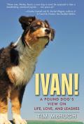 Ivan A Pound Dogs View on Life Love & Leashes