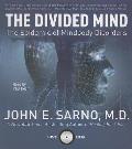 Divided Mind The Epidemic of Mindbody Disorders