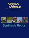 Agriculture at a Crossroads: Synthesis Report