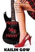 Never Say Never: Never Knights Series #1