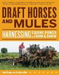 Draft Horses & Mules Harnessing Equine Power for Farm & Show