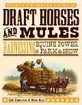 Draft Horses & Mules