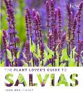 Plant Lovers Guide to Salvias