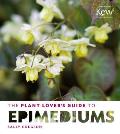 Plant Lovers Guide to Epimediums