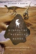 Dinosaurs Without Bones Dinosaur Lives Revealed by their Trace Fossils