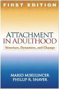 Attachment In Adulthood Structure Dynamics & Change