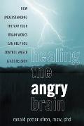 Healing the Angry Brain How Understanding the Way Your Brain Works Can Help You Control Anger & Aggression