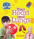 Your Heart & Lungs