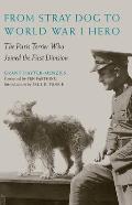 From Stray Dog to World War I Hero: The Paris Terrier Who Joined the First Division