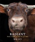 Radiant Farm Animals Up Close & Personal