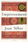 Improvement: A Novel