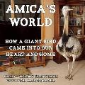 Amicas World How a Wild Bird Taught Our Family to Be Better People