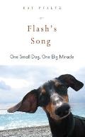 Flash's Song: How One Small Dog Turned Into One Big Miracle