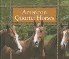 American Quarter Horses