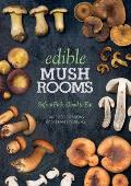 Edible Mushrooms Safe to Pick Good to Eat