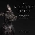 Black Dog Project