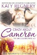 Crazy about Cameron: The Winslow Brothers #3 Volume 9
