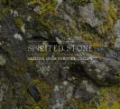Spirited Stone: Lessons from Kubota's Garden