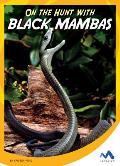 On the Hunt with Black Mambas