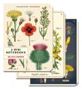 Wildflowers 3 Mini Notebook Set Cavallini