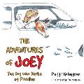 The Adventures of Joey, the Dog Who Barks at Puddles