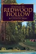 Through the Redwood Hollow