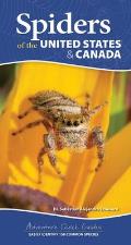 Spiders of the United States & Canada: Easily Identify 158 Common Species